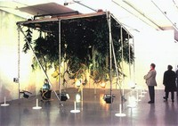 Trans'plant: living vegetation in contemporary art