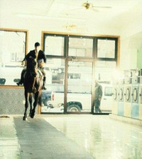 Laundromat locomotion: Mr. Pippin ; [publ. on the occasion of the Exhibition Laundromat Locomotion]
